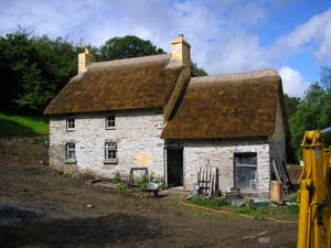 Pembrokeshire Thatch and Carpentry Services gallery image