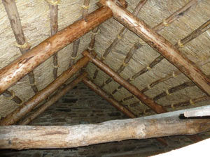 Brynberian Cottage — Over-Slate Thatching in the Preseli Hills gallery image